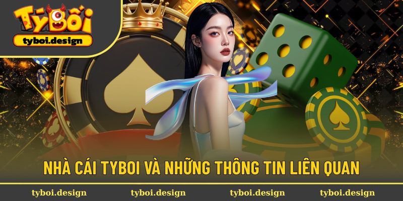 Tyboi cùng thông tin giới thiệu tổng quan