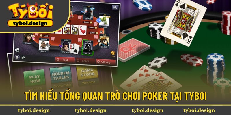 Tìm hiểu tổng quan trò chơi poker tại Tyboi
